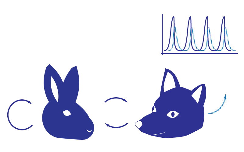Nested kinetic schemes describing complex biological proces