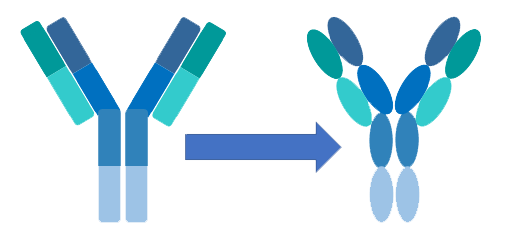 Analysis of mABs